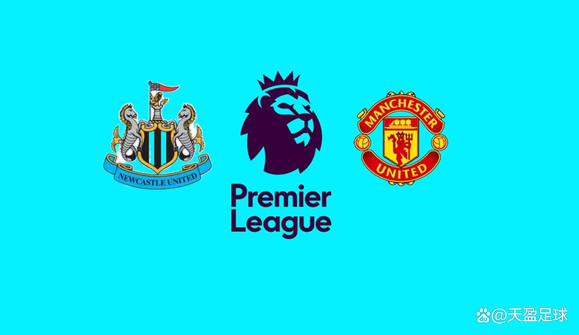 不再是一片 不再是一片